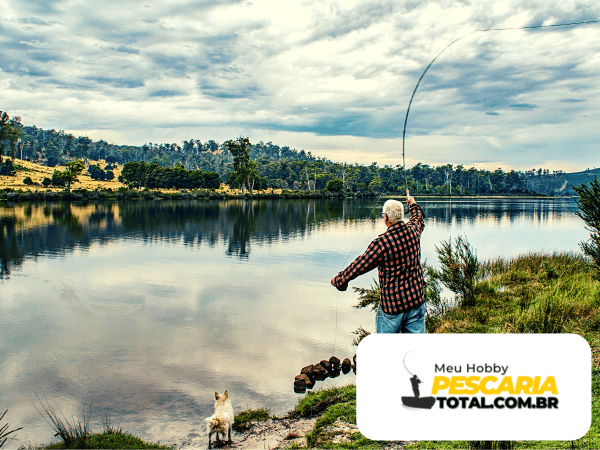 A arte da pesca: técnicas e truques para iniciantes