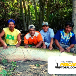 Pirarucu ou paiche o invasor que ameaça rios em três países da América do Sul