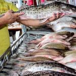 Egito aprova importação de pescados e derivados do Brasil