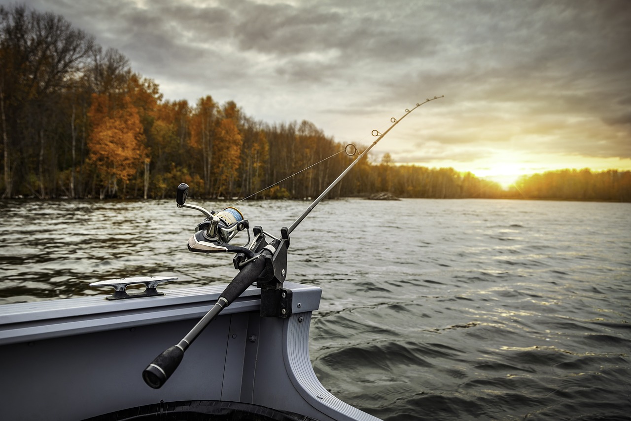 Equipamentos de Pesca Escolhendo as Ferramentas Certas para a Captura Perfeita